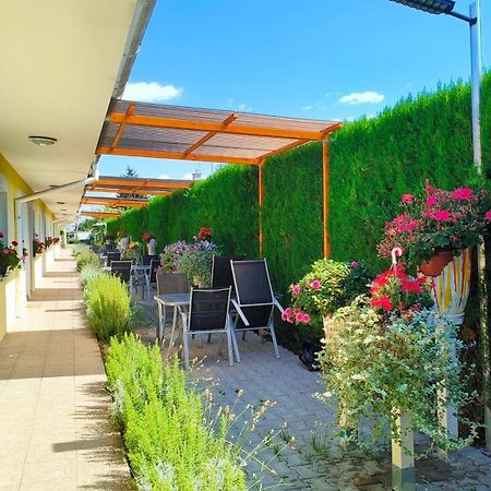 Cozy Room With Garden In Bratislava Luaran gambar